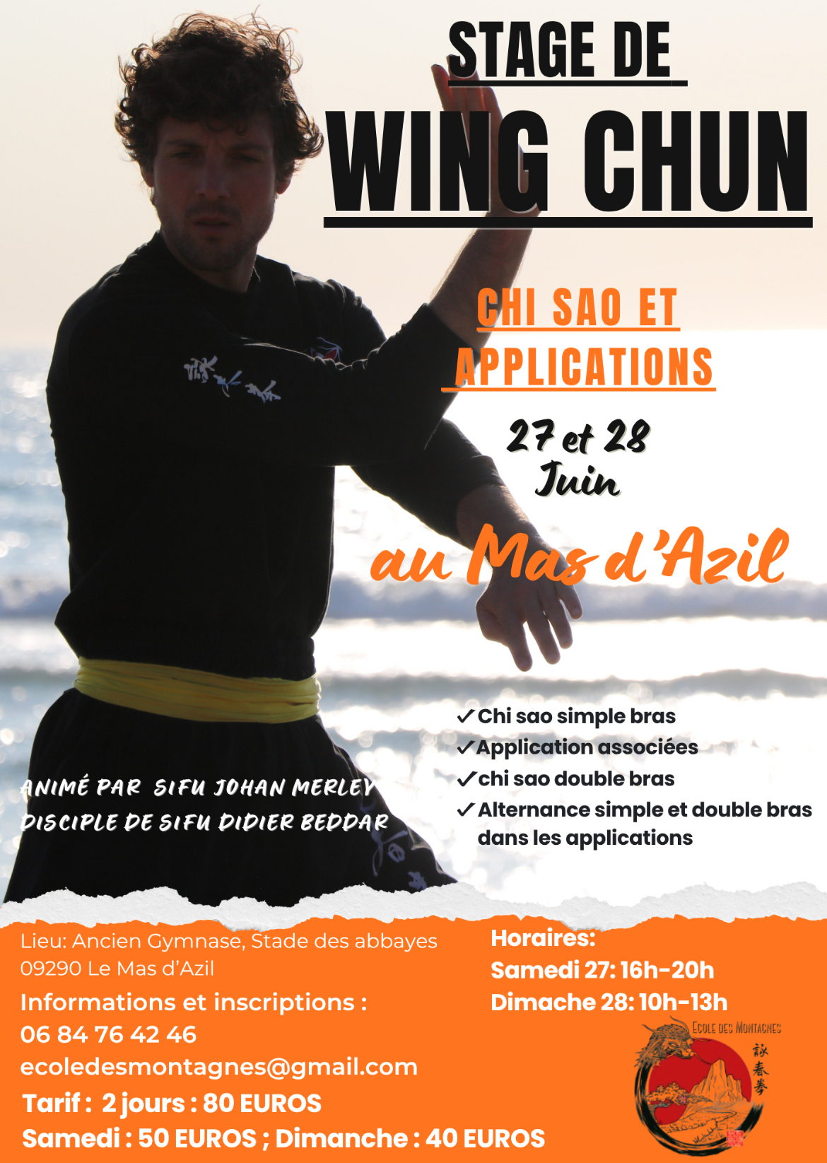 Stage de Wing Chun Kung Fu